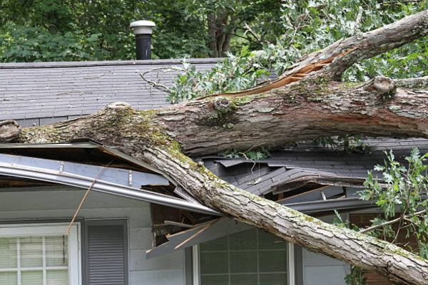 Storm Damage Cleanup Services